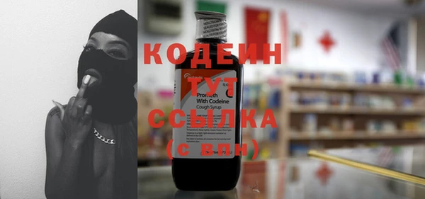хмурый Карпинск