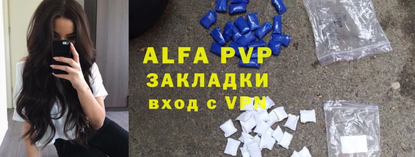 хмурый Карпинск