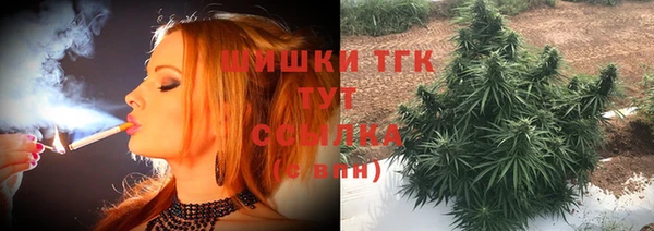 хмурый Карпинск