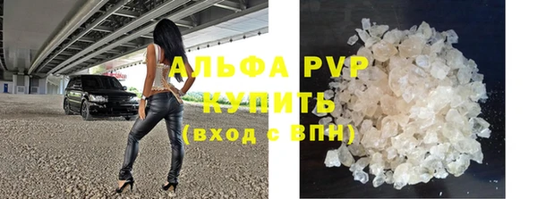 дмт Касимов